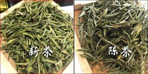 新茶与陈茶的区别是什么