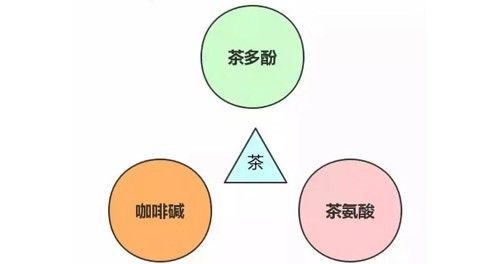 茶叶的成分和功效