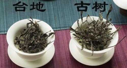 怎样区分台地茶和古树茶