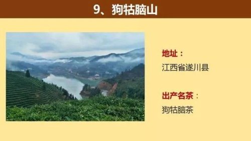 中国著名的茶山大汇总，看看你知道几个？