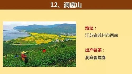 中国著名的茶山大汇总，看看你知道几个？