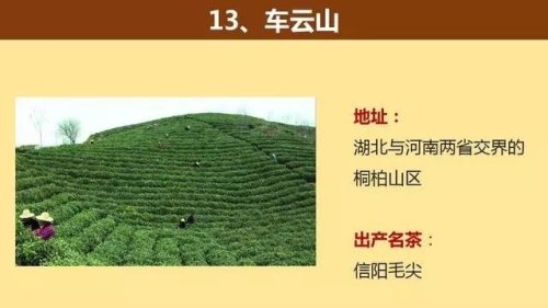 中国著名的茶山大汇总，看看你知道几个？