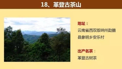 中国著名的茶山大汇总，看看你知道几个？