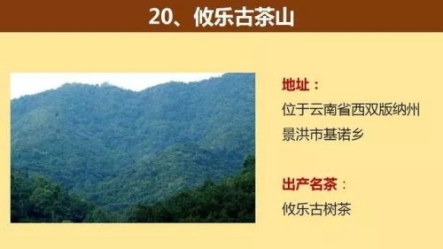 中国著名的茶山大汇总，看看你知道几个？