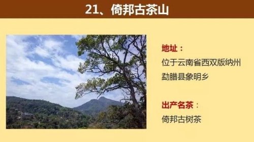 中国著名的茶山大汇总，看看你知道几个？