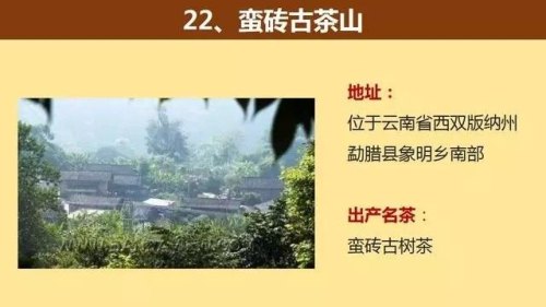 中国著名的茶山大汇总，看看你知道几个？