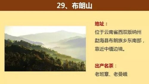 中国著名的茶山大汇总，看看你知道几个？