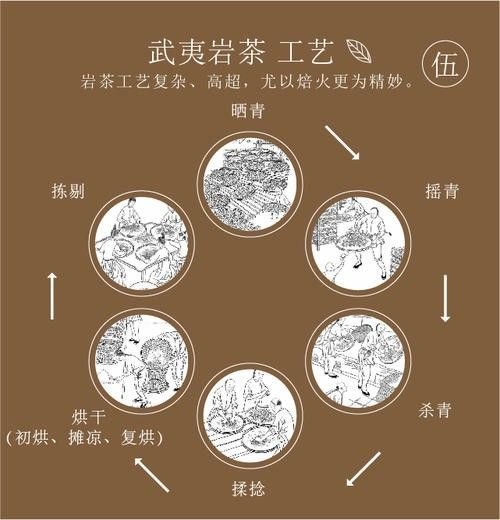 武夷岩茶有哪些核心特点？武夷岩茶的品质特征介绍