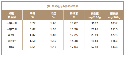 茶梗是垃圾还是宝贝，细说茶叶的那些梗