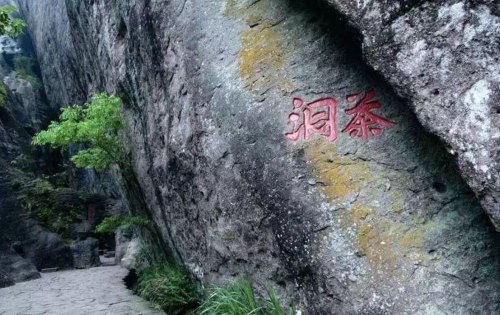 品饮乌龙茶的起源时代是