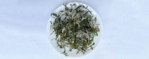 文冠果叶茶的功效