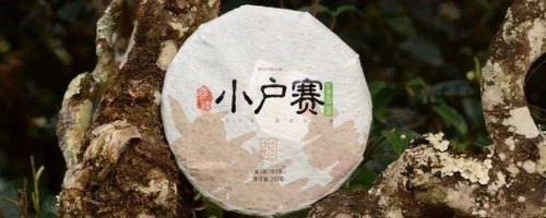 小户赛古树普洱茶特点