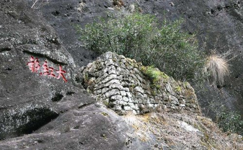 武夷山大红袍是什么茶