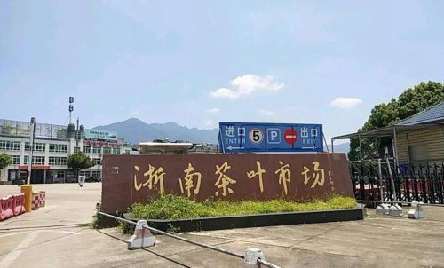 松阳茶叶批发市场在哪里