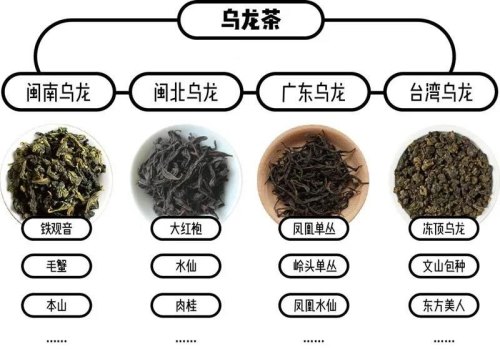 乌龙茶红茶绿茶的区别