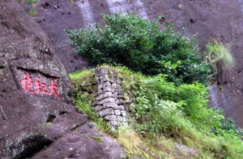 真正大红袍原产地在哪