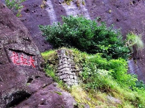 大红袍属于温性茶吗