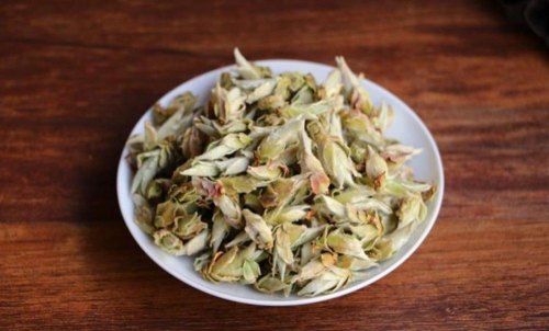 芽孢茶属于什么茶