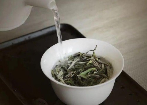 白茶茶水比例