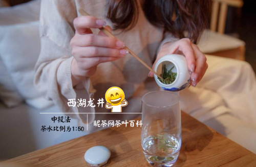 泡龙井茶的水温多少度