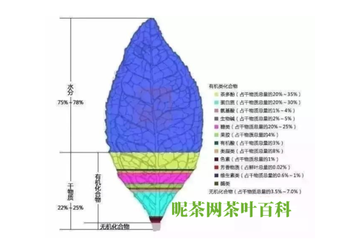 茶的介绍