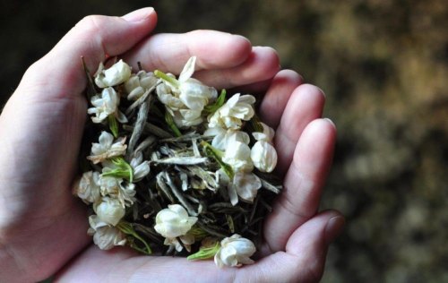 花茶产地在哪里