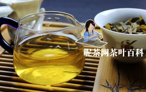 青少年可以喝茶吗