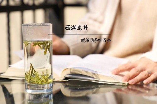 龙井新茶和老茶有什么区别