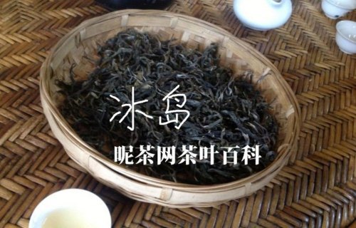 曼松和冰岛的普洱茶比较区别