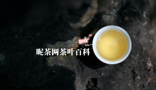 普洱茶为什么喝生不喝熟