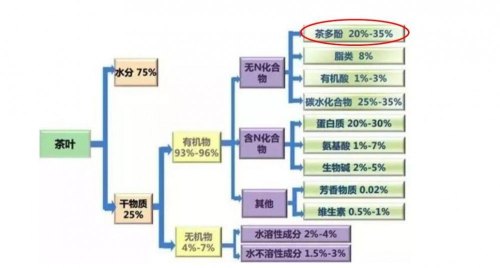 口感发涩的茶是好茶吗