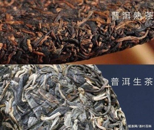 女人喝生普洱茶还是熟普洱茶