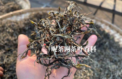 乔木茶和古树茶的区别