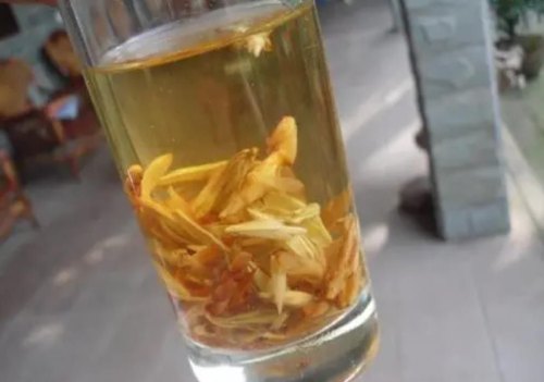 老鹰茶是什么茶