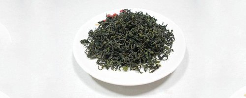 日照绿茶新茶上市时间