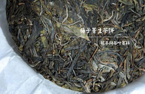 梅子箐是什么茶