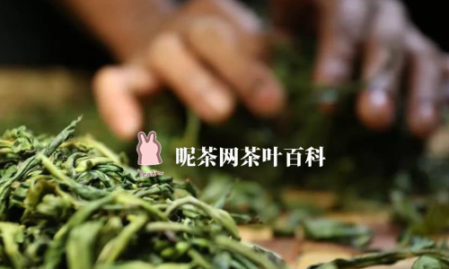 普洱茶生茶和熟茶的区别和好处