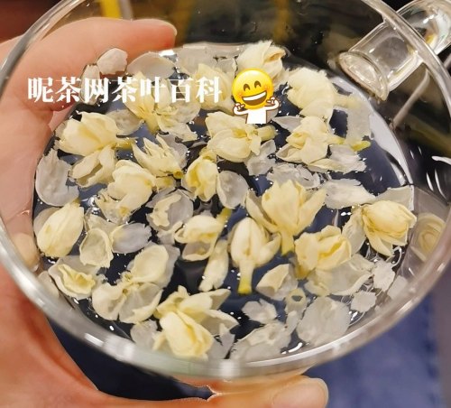 茉莉茶是凉性花茶么