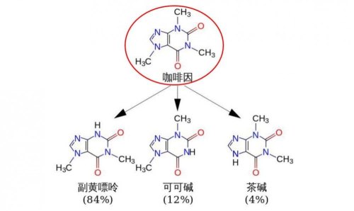 喝茶的兴奋效果持续几个小时