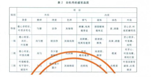 福鼎白茶4个等级