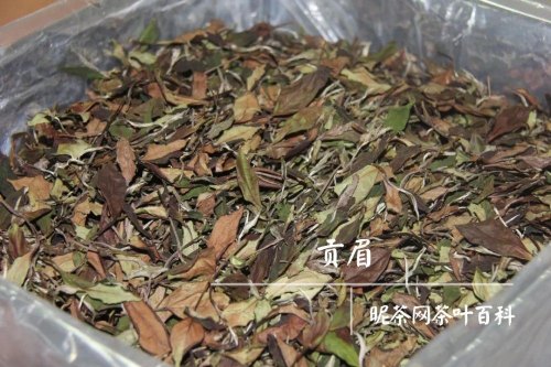 福鼎白茶4个等级