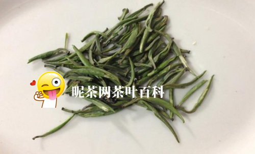 雀舌茶产地哪里较正宗