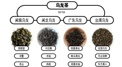 青茶有哪些品种及产地