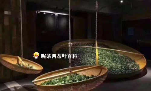 乌龙茶的品质特点及形成原因