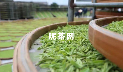 直接晒干的茶叶叫什么茶