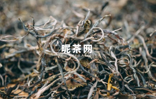 倚邦普洱茶特点