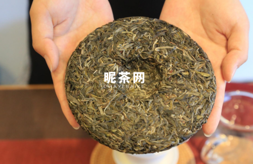 倚邦普洱茶特点