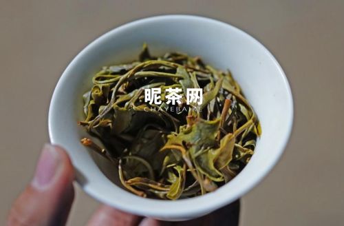 倚邦普洱茶特点