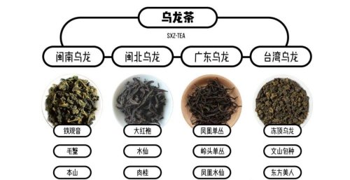 青茶制作工艺步骤