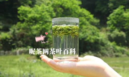 四川绿茶品种